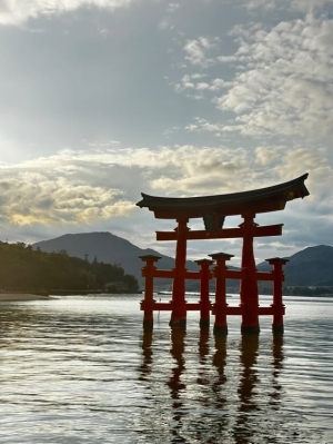 東広島のデリヘル ひめごと 東広島店（ペリドットグループ）の写メ日記　ごめんね(>︿<｡)画像