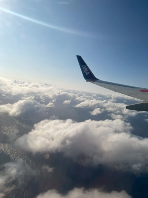 東広島のデリヘル ひめごと 東広島店（ペリドットグループ）の写メ日記　明日は‪🌱‬画像